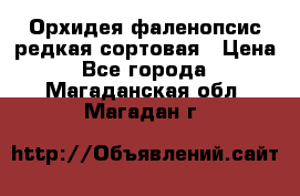 Орхидея фаленопсис редкая сортовая › Цена ­ 800 - Все города  »    . Магаданская обл.,Магадан г.
